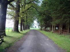 Kinnaird Drive (north)