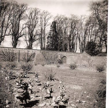 Kitchen Garden